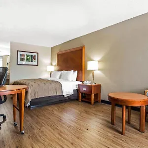 Quality & Area Hotel
